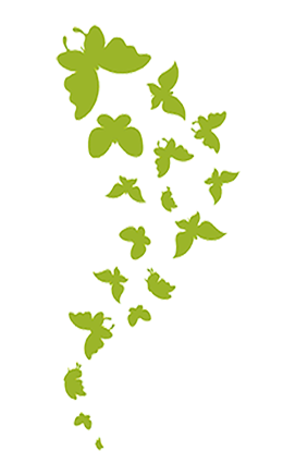 Envolée des Sens - Gestion du Stress - Lançon-Provence